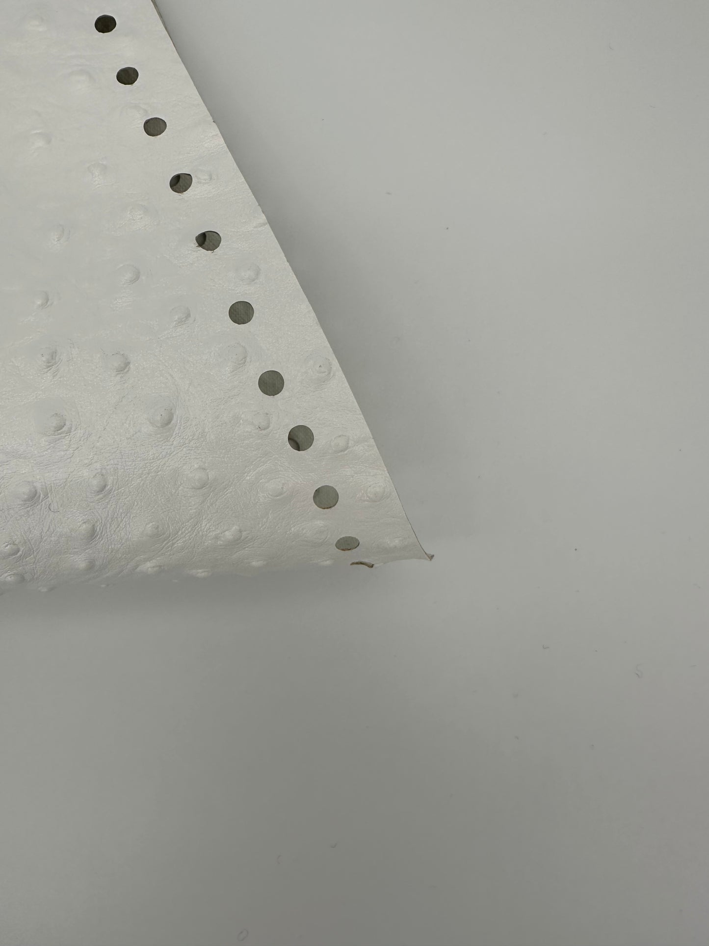 Struzzo Bianco - Unica Eco Bag